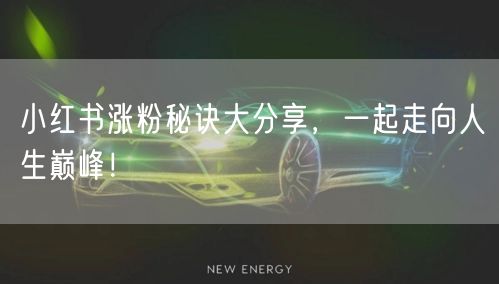 小红书涨粉秘诀大分享，一起走向人生巅峰！