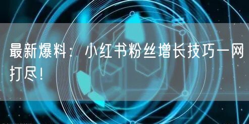 最新爆料：小红书粉丝增长技巧一网打尽！