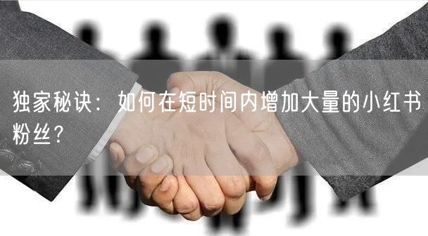 独家秘诀：如何在短时间内增加大量的小红书粉丝？
