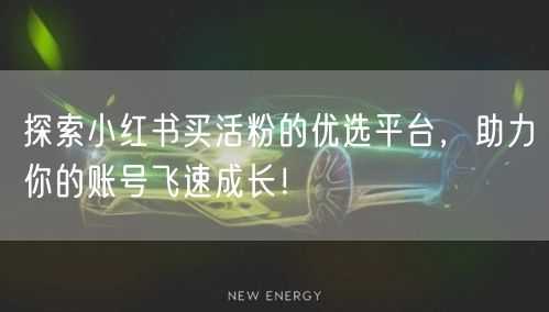 探索小红书买活粉的优选平台，助力你的账号飞速成长！