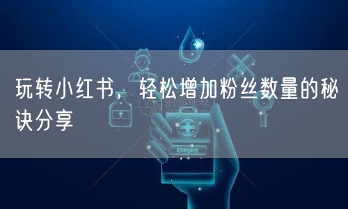 玩转小红书，轻松增加粉丝数量的秘诀分享