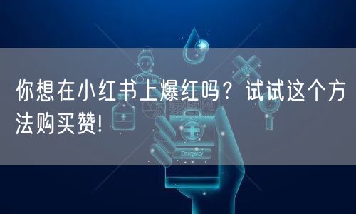 你想在小红书上爆红吗？试试这个方法购买赞!